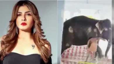 Photo of बॉलीवुड अभिनत्री रवीना टंडन और अर्जुन रामपाल  लगाई मदद की गुहार