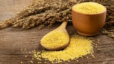 Photo of जाने मिलेट्स और इनके फायदे 