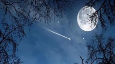 Photo of जाने शरद पूर्णिमा का महत्व, पढ़े पूरी ख़बर