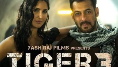 Photo of Salman Khan ने अपनी फिल्म Tiger 3 को ले कर की ये बड़ी अनाउंसमेंट