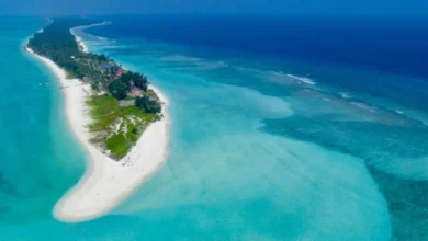 Photo of दुनिया के सबसे स्वच्छ समुद्र तट की लिस्ट में शामिल हुए भारत के ये दो बीच