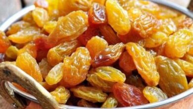 Photo of ज्यादा किशमिश खाने से शरीर को कई तरह के नुकसान हो सकते हैं, आइए जानते हैं इनके बारे में.. 