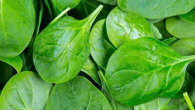 Photo of जानिए आप किन चीजों का सेवन कर हड्डियों को मजबूत बना सकते हैं..