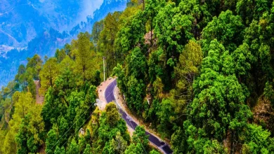 Photo of अगर आप नार्थ ईस्ट की खूबसूरत जगहों की सैर करना चाहते हैं तो यहां जानें पैकेज के डिटेल्स..