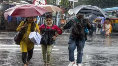 Photo of दक्षिण भारत के कई राज्यों में बारिश का अलर्ट, जानिए अपने राज्य का हाल ..
