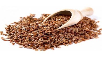 Photo of अलसी के बीज कई पोषक तत्व और मिनरल्स से है  भरपूर, आइए जानते हैं फायदे …