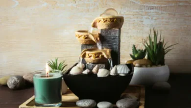 Photo of ये आसान फेंगशुई टिप्स अपना कर दूर कर सकते है अपनी आर्थिक तंगी, पढ़े पूरी ख़बर