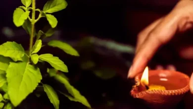 Photo of जानें तुलसी पूजा की विधि और महत्व..
