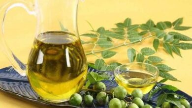 Photo of जानिए नीम का तेल बालों के डैंड्रफ की समस्या को दूर करने में  होती है सहायक..