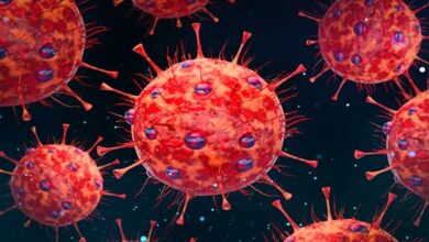 Photo of भारत में पाया गया कोविड-19 का एक्सबीबी.1.5 वैरिएंट, सामने आए इतने मामले