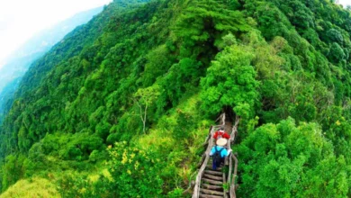 Photo of ताइवान सरकार ने पर्यटन को बढ़ाने के लिए कुछ आकर्षक ऑफर दिए, जानें?