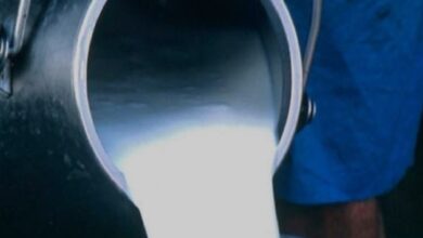 Photo of पाकिस्तान में खुले हुए दूध की कीमतें 190 रुपये प्रति लीटर से बढ़ाकर 210 रुपये प्रति लीटर तक पहुंचा…