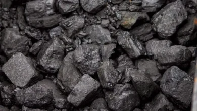 Photo of कोल इंडिया के चेयरमैन ने कहा कि कोयले की कीमतों में बढ़ोतरी होने की संभावना.. 