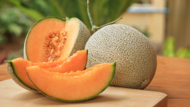 Photo of जानें खरबूजा खाने के फायदे…