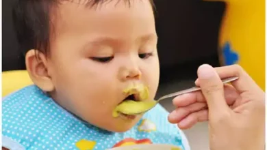 Photo of जानें बेबी के लिए दलिया के लाजवाब फायदे और बनाने का तरीका…