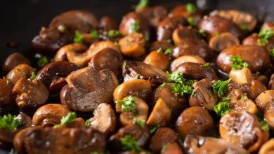 Photo of नाश्ते में ट्राई करें मशरूम फ्राई की ये टेस्टी रेसिपी, जानें रेसिपी