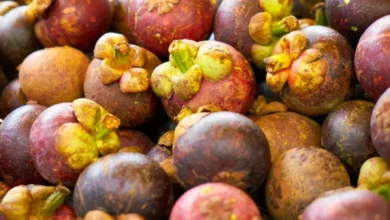 Photo of  कोकम खाने से सेहत को कई सारे फायदे होते हैं, आइए जानते हैं इसके बारे में..