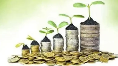 Photo of क्या है Small Cap Funds में निवेश न स्कीवार करने की वजह?