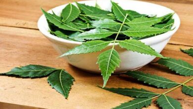 Photo of नीम के पत्ते कैंसर जैसी बीमारी से बचने के लिए असरदार है, जाने फायदे और उपयोग