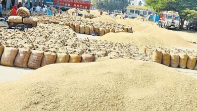 Photo of धान की रिकॉर्ड खरीद की ओर बढ़ रहा हरियाणा, बीते वर्ष के मुकाबले इस बार बढ़ सकती है खरीद