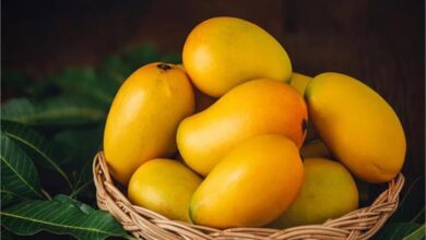 Photo of विदेशों में बढ़ी आम की मांग, भारत से भी 19% बढ़ गया निर्यात