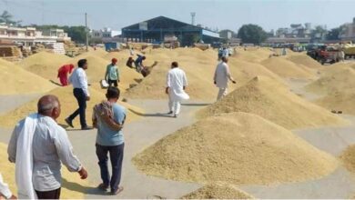Photo of गोहाना अनाज मंडी में धान के भाव में आई तेजी,  किसानों में खुशी की लहर