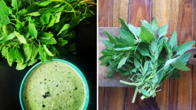 Photo of सर्दियों के लिए वरदान है बथुआ का साग, पढ़िये पूरी ख़बर