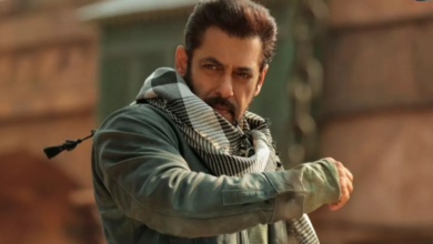 Photo of टाइगर 3 से सलमान खान ने रचा इतिहास, 17 फिल्मों से छूआ 100 करोड़ का आंकड़ा; पढ़िये पूरी ख़बर