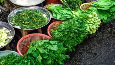 Photo of जाने कौन सा साग हैं इम्यूनिटी बूस्टर ?