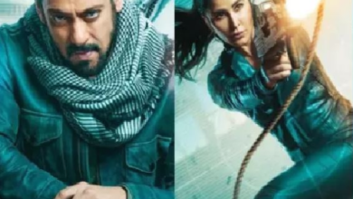 Photo of टाइगर-3 फिल्म बॉक्स ऑफिस पर नोट छाप रही,फैंस का रिएक्शन देख एक्टर्स हो रहे खुश