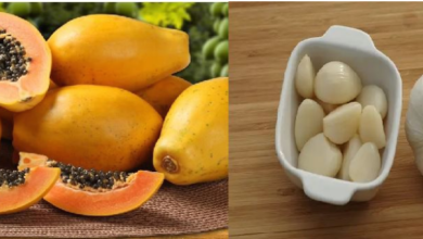 Photo of पपीता और लहसुन के फायदे जान हैरान हो जाएंगे आप…