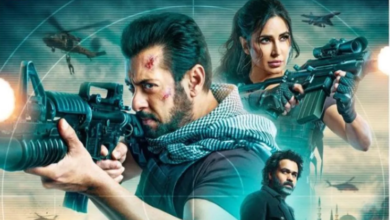 Photo of ‘टाइगर 3’फिल्म ने 300 करोड़ क्लब में सलमान की फिल्म ने ली एंट्री!
