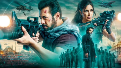Photo of सलमान खान की टाइगर 3 फिल्म 400 करोड़ से कितनी दूर है,जाने