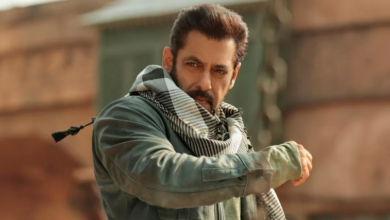 Photo of दिवाली के बाद ‘टाइगर 3’ का बिगड़ा खेल,जाने पूरा मामला