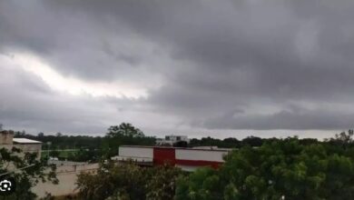 Photo of पंजाब: देर रात बारिश ने बढ़ाई ठंडक, जानें मौसम का हाल…