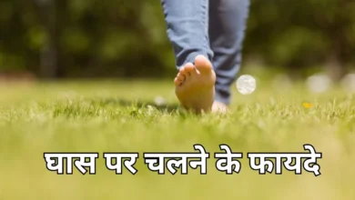 Photo of पाचन के साथ ही दिल को भी स्वस्थ रखता है घास पर नंगे पैर चलना, जानिए कितना है लाभदायक