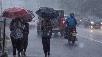 Photo of हरियाणा: ठंड दिखा रही तेवर, बादल छाने से गिरा तापमान, 12 शहरों में बारिश का अलर्ट…