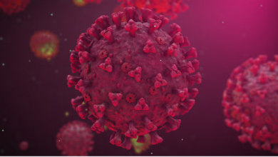 Photo of यूरोप पहुंचा नया चीनी वायरस,ब्रिटिश वैज्ञानिक बोले-यह कोविड का ही रूप…