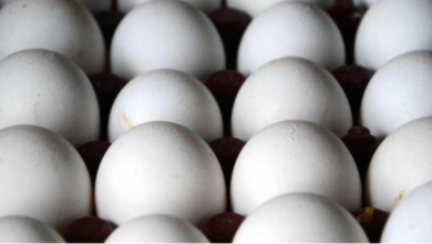 Photo of यदि आप भी ज्यादा अंडे खाते हैं तो हो जाएं सावधान!