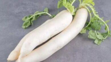Photo of लिवर के लिए किसी दवा से कम नहीं है मूली