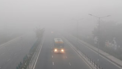 Photo of उत्तराखंड मोसम:खूब सता रहा कोहरा… हरिद्वार और ऊधमसिंहनगर में येलो अलर्ट