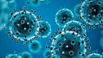 Photo of दिल्ली में जीनोम सीक्वेंसिंग के लिए भेजे गए थे नमूने, 16 में जेएन.1 वेरिएंट की हुई पुष्टि