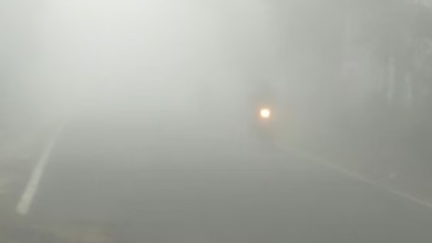 Photo of हरिद्वार और ऊधमसिंह नगर में आज घने कोहरे का अलर्ट