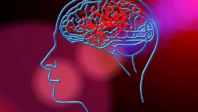 Photo of दिल्ली में गिरते पारे से दिमाग की नसें हो रही हैं ब्लॉक,फटने का भी खतरा…