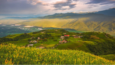 Photo of रिलैक्सिंग वेकेशन के लिए बेहतरीन जगह है पश्चिम बंगाल का ये गांव
