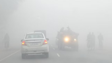 Photo of यूपी का मौसम:कोहरे की घनी चादर में लिपटा प्रदेश,इन जिलों के लिए जारी किया गया अलर्ट