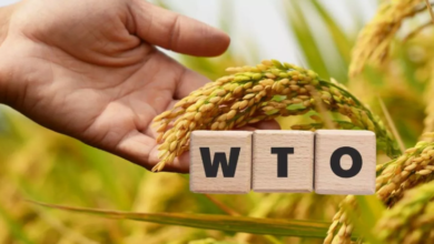 Photo of WTO की बैठक में घरेलू खाद्य सुरक्षा से कोई समझौता नहीं करेगा भारत