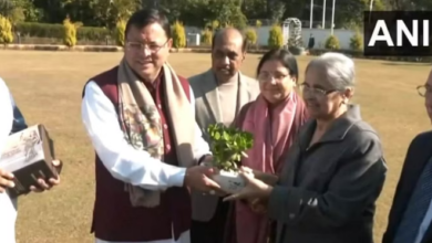 Photo of विशेषज्ञ समिति ने सीएम धामी को सौंपी मसौदा रिपोर्ट