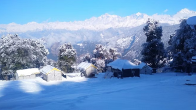 Photo of उत्तराखंड: मिनी स्विटजरलैंड चोपता में सीजन की पहली बर्फबारी,उमड़ने लगे पर्यटक