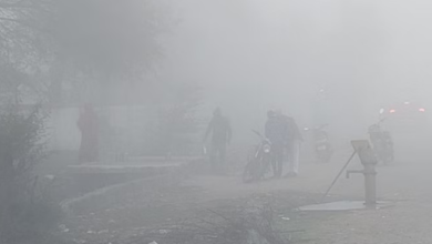 Photo of मध्य प्रदेश: 15 दिन बाद फिर दमोह में फिर बदला मौसम,छाया कोहरा